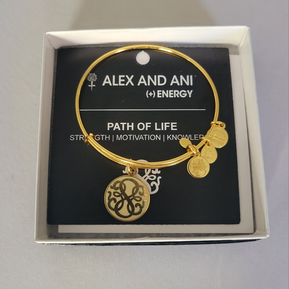 Alex and Ani Path of Life Bracelet
